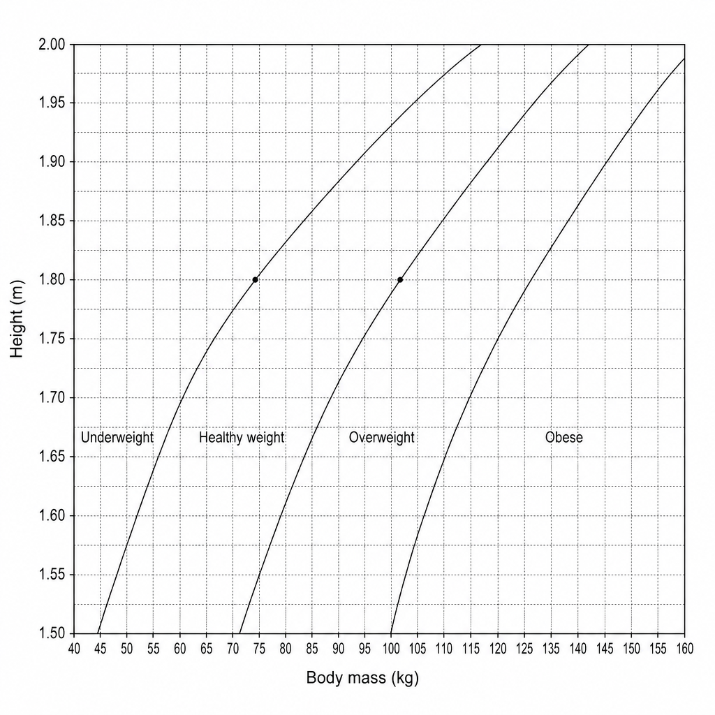 A graph showing weight categories of adults based on height on the vertical axis, from 1.5 to 2.0 m with horizontal grid lines every 0.05 m, and body mass on the horizontal axis, from 40 to 160 kg with vertical grid lines every 5 kg. The graph is divided into four regions from left to right:
- 'Underweight': The region to the left of the first boundary line. This boundary line starts at (40 kg, 1.48 m), passes through (54 kg, 1.72 m), (60 kg, 1.80 m), and (67.5 kg, 1.90 m).
- 'Healthy weight': The region between the first and second boundary lines. The second boundary line separating 'Healthy weight' and 'Overweight' passes through (57 kg, 1.51 m), (72.5 kg, 1.70 m), (81 kg, 1.80 m), and (90 kg, 1.90 m).
- 'Overweight': The region between the second and third boundary lines. The third boundary line separating 'Overweight' and 'Obese' passes through (68 kg, 1.51 m), (87 kg, 1.70 m), (97 kg, 1.80 m), and (108 kg, 1.90 m).
- 'Obese': The region of body masses to the right of the third boundary line, up to 160 kg.